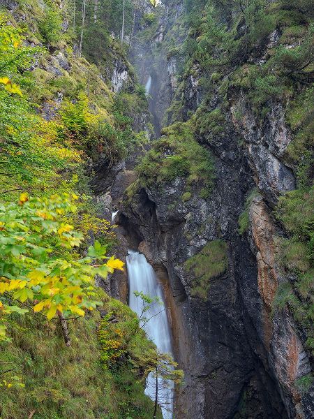 Zwick, Martin 아티스트의 Waterfall in gorge of Gaisalpbach near Oberstdorf in the Allgau-Germany-Bavaria작품입니다.
